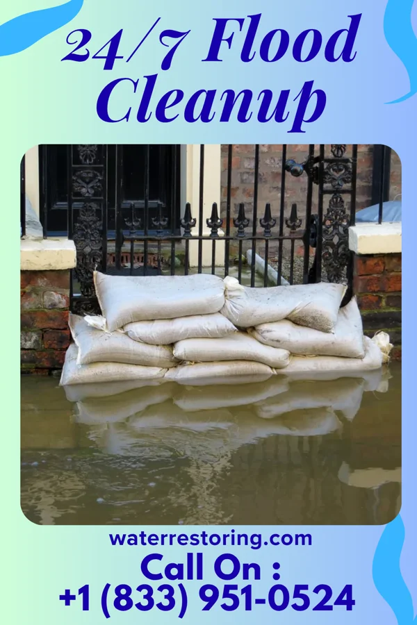24/7 Flood Cleanup in Sandersville, MS