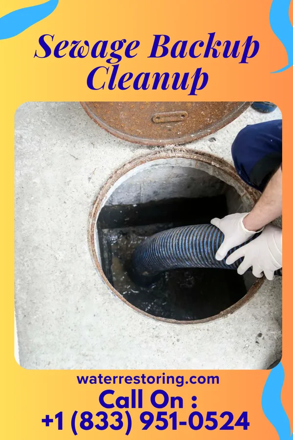 Sewage Backup Cleanup in Sandersville, MS